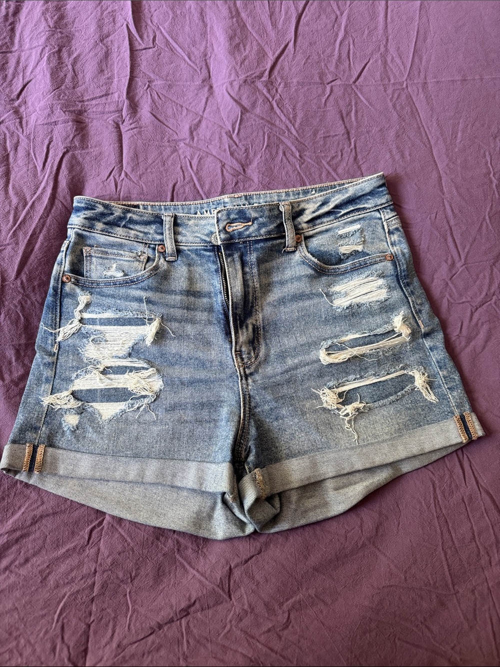American Eagle Outfitters Distressed Light Blue Denim Shorts